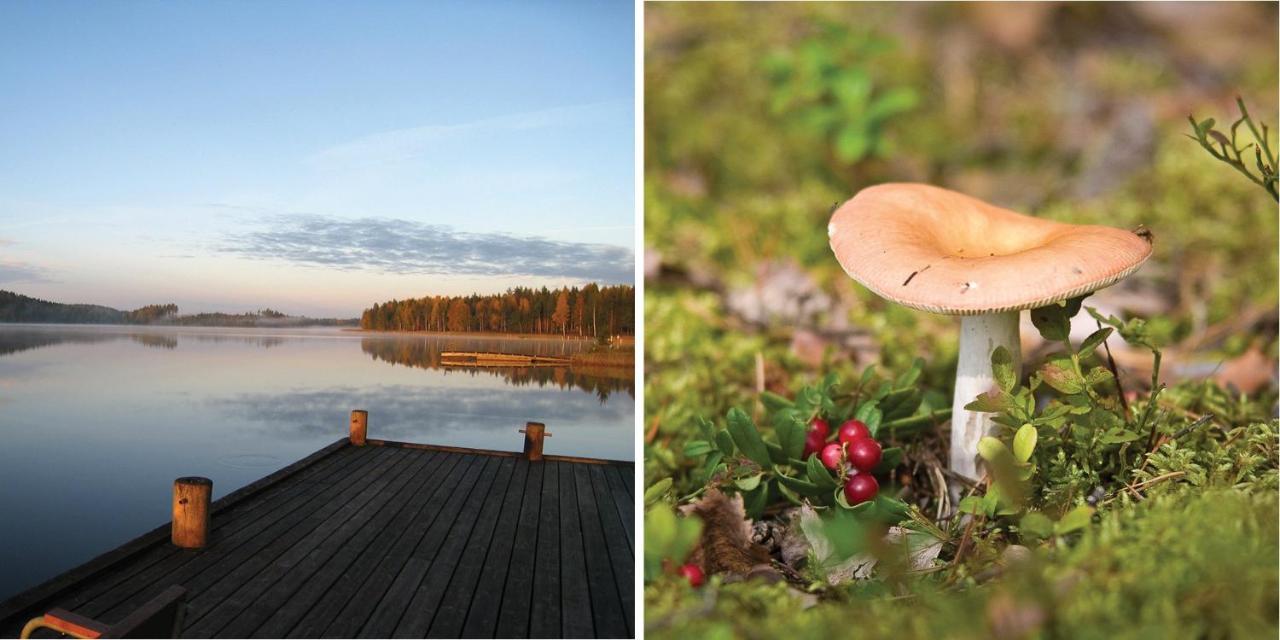 Saimaanranta Resort by Anttolanhovi Mikkeli Esterno foto